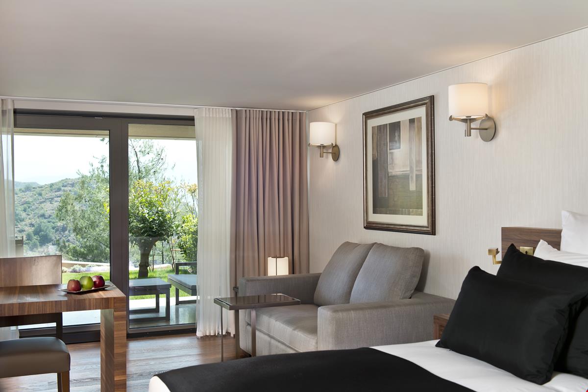 Superior Mountain View Room